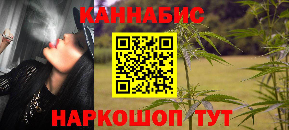Каннабис конопля Надым